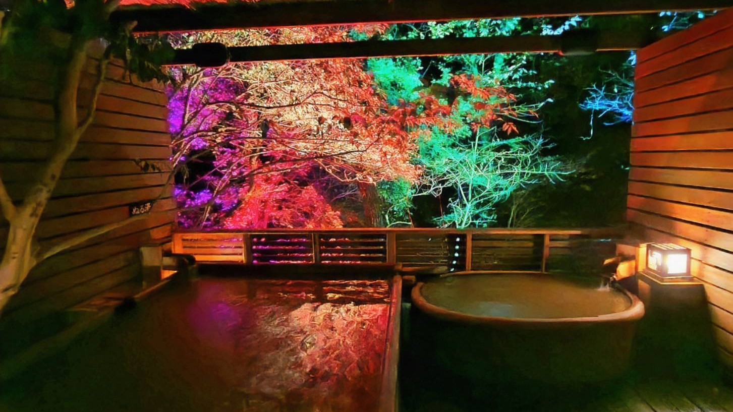 月の山源泉エリア　猫の恋　イルミネーション