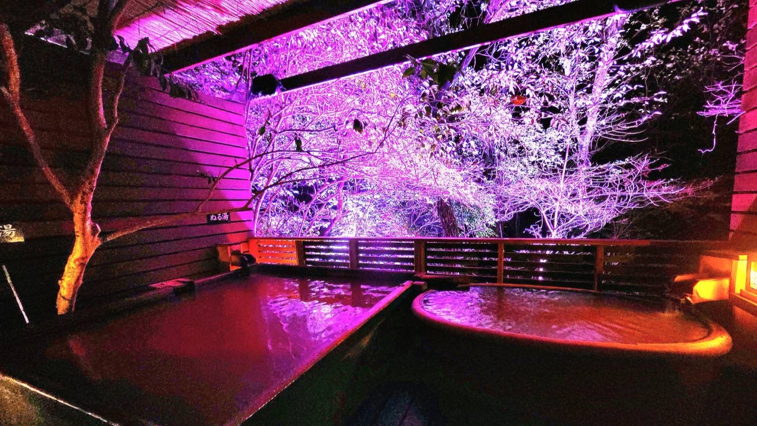 月の山源泉エリア　猫の恋