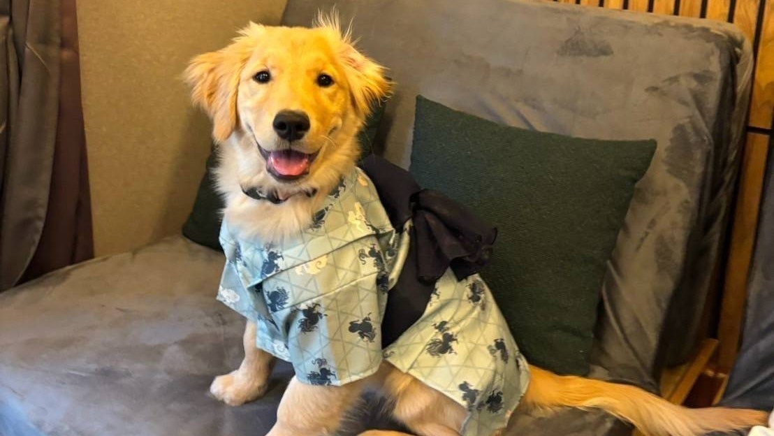 月の離宮　信濃