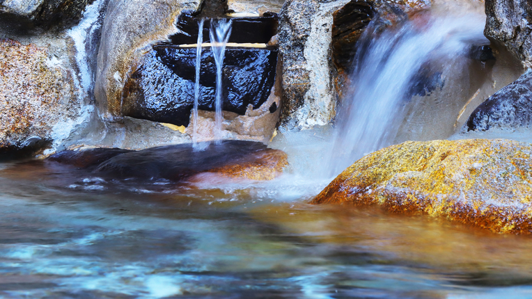 オンラインカード決済限定【1泊2食付き】スタンダードプラン♪《特典：特製リンゴサイダー付き》