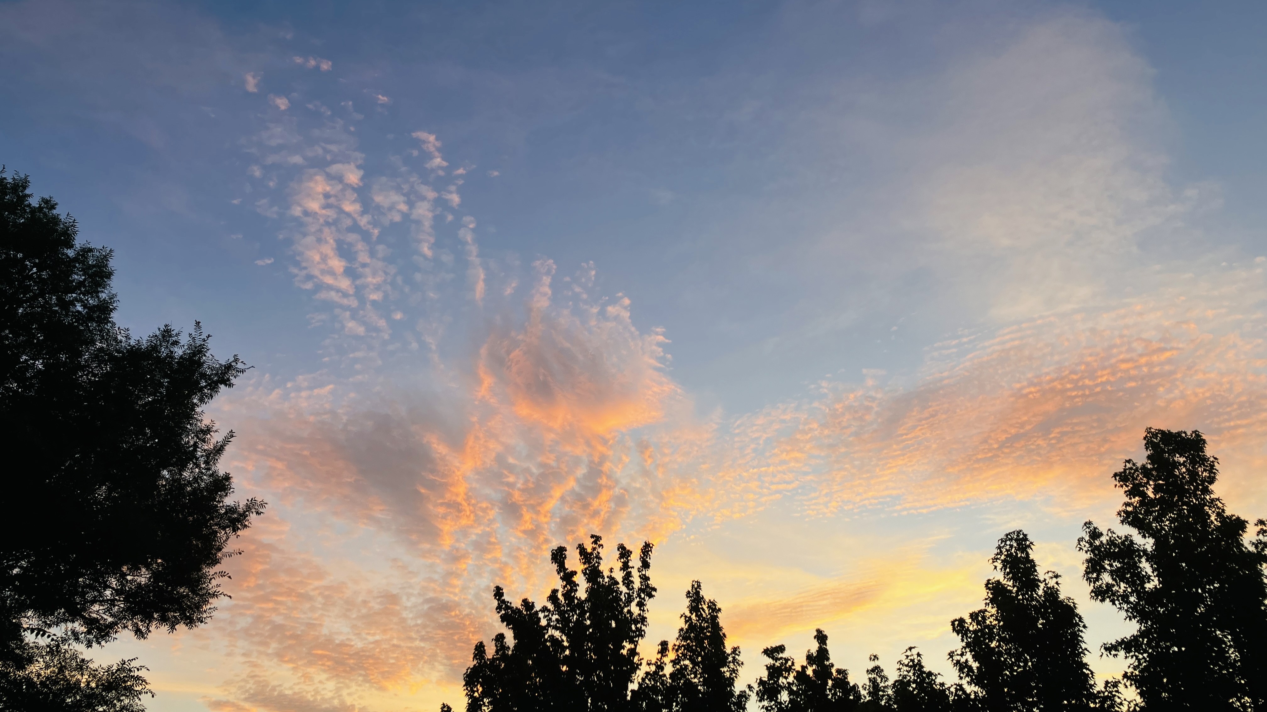 ある日の夕暮れ時