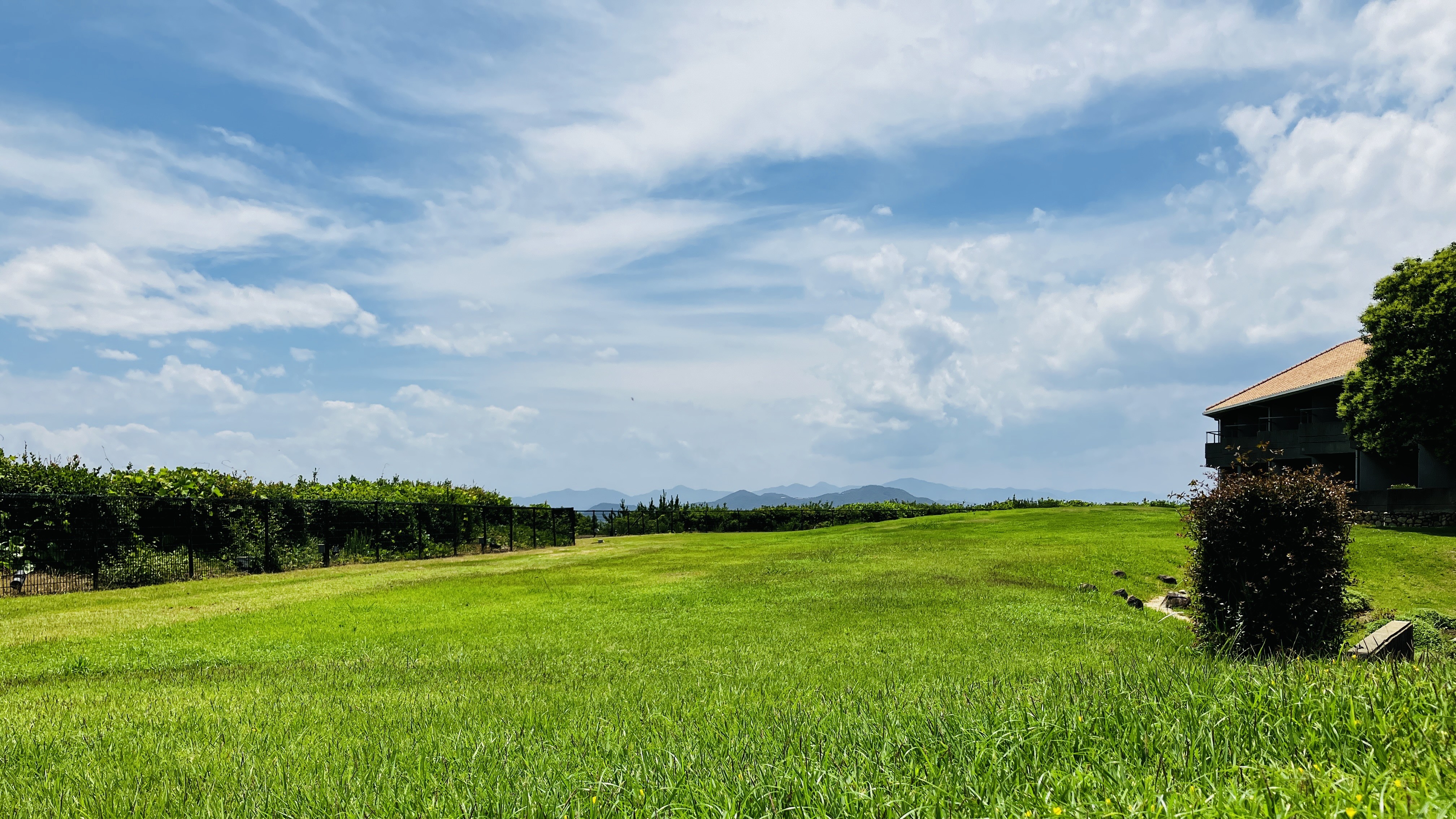 本館中庭の芝生ゾーン