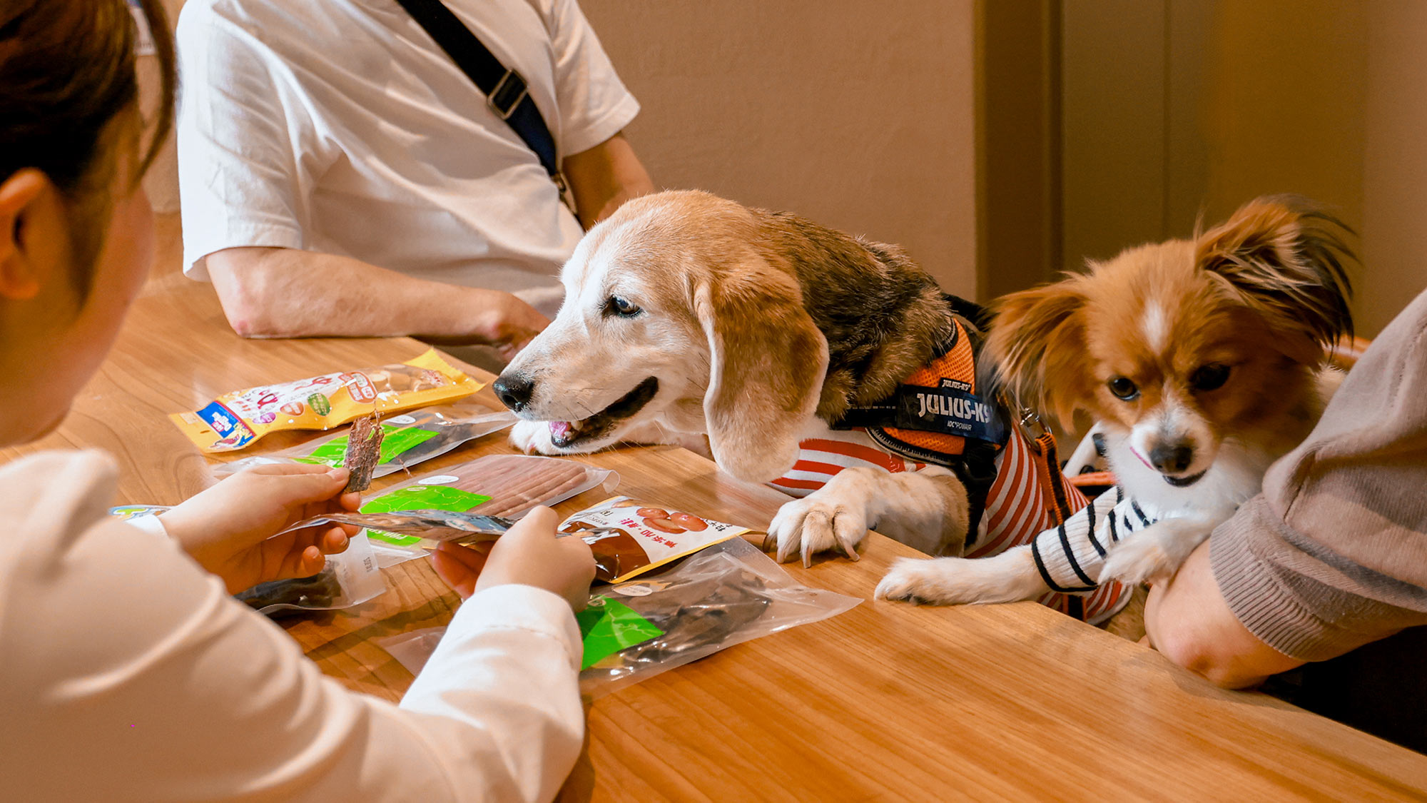 【フロント】ウェルカムおやつを吟味中！