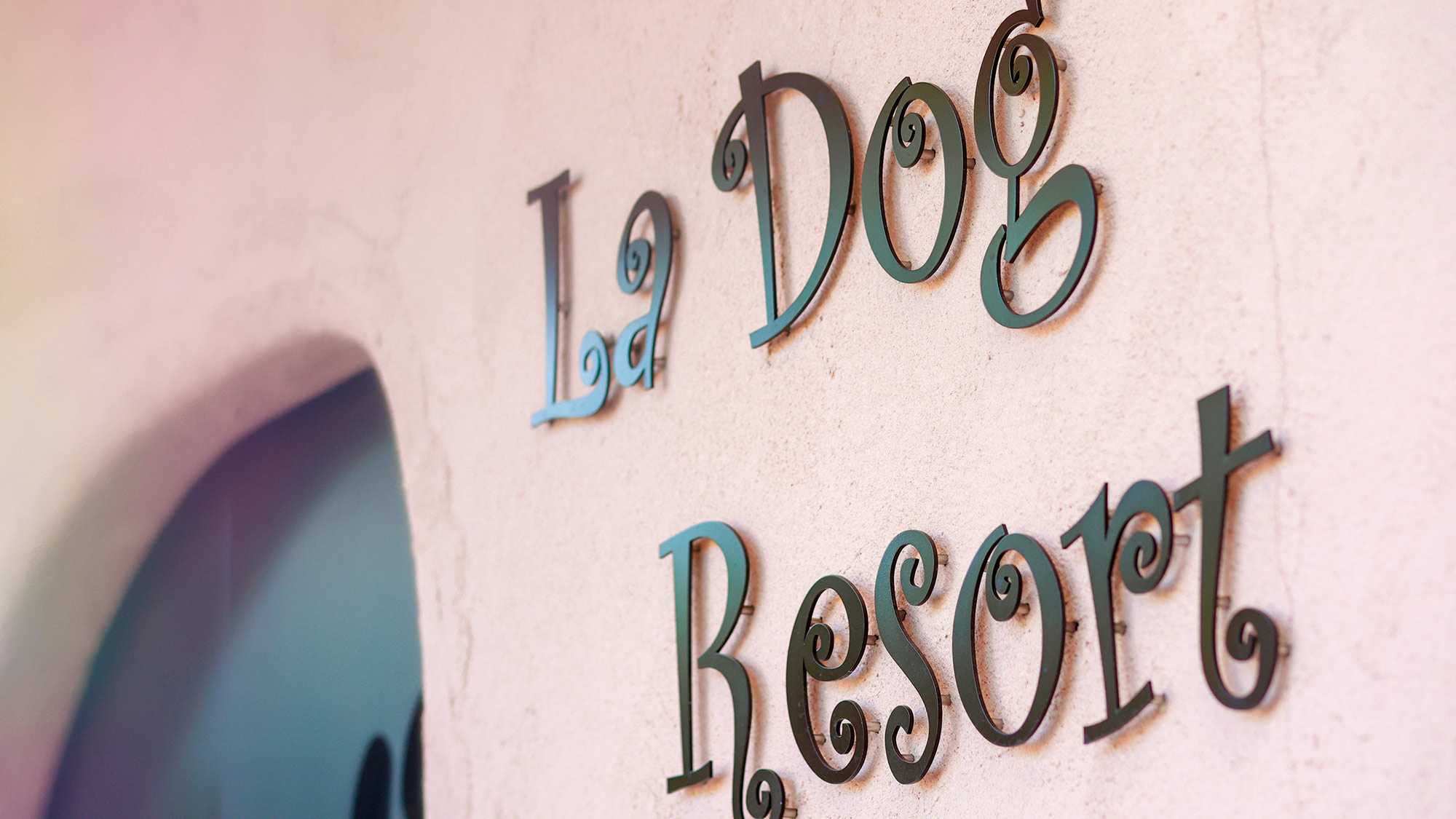 ラ・ドッグリゾートへようこそ！