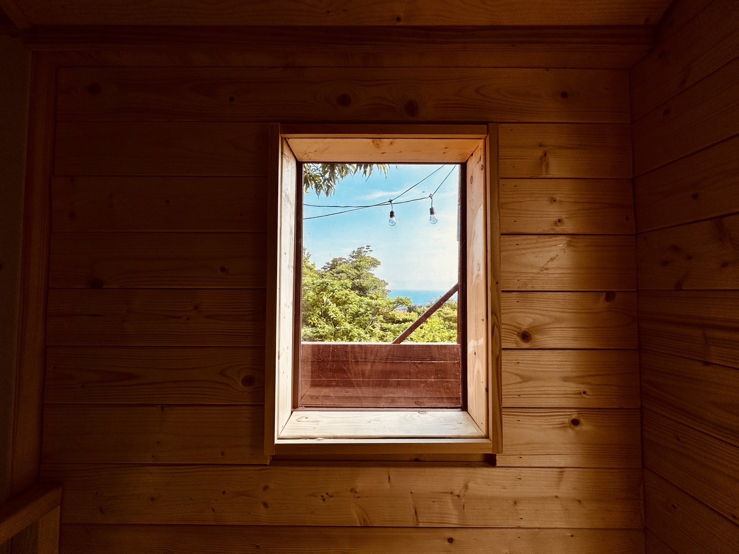 サウナからの眺め