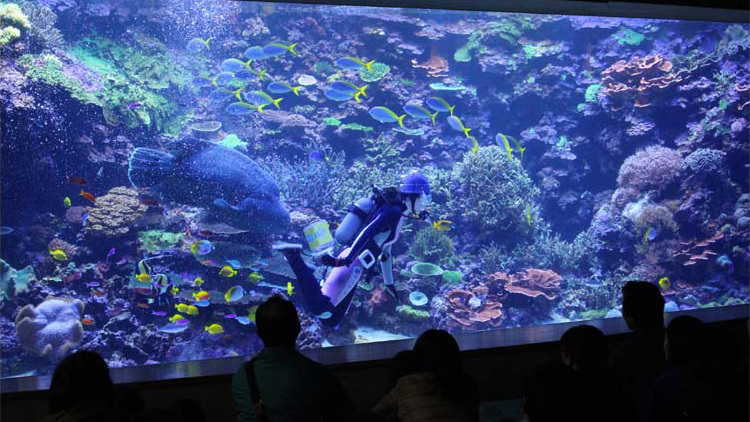 水族館「うみたまご」優先入場チケット付きプラン