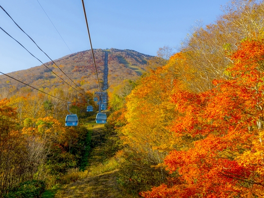 ＜ゴンドラ遊覧付＞安比・八幡平の紅葉の風景を見に行こう！特選食材を使った和or洋食コースの夕食と朝食