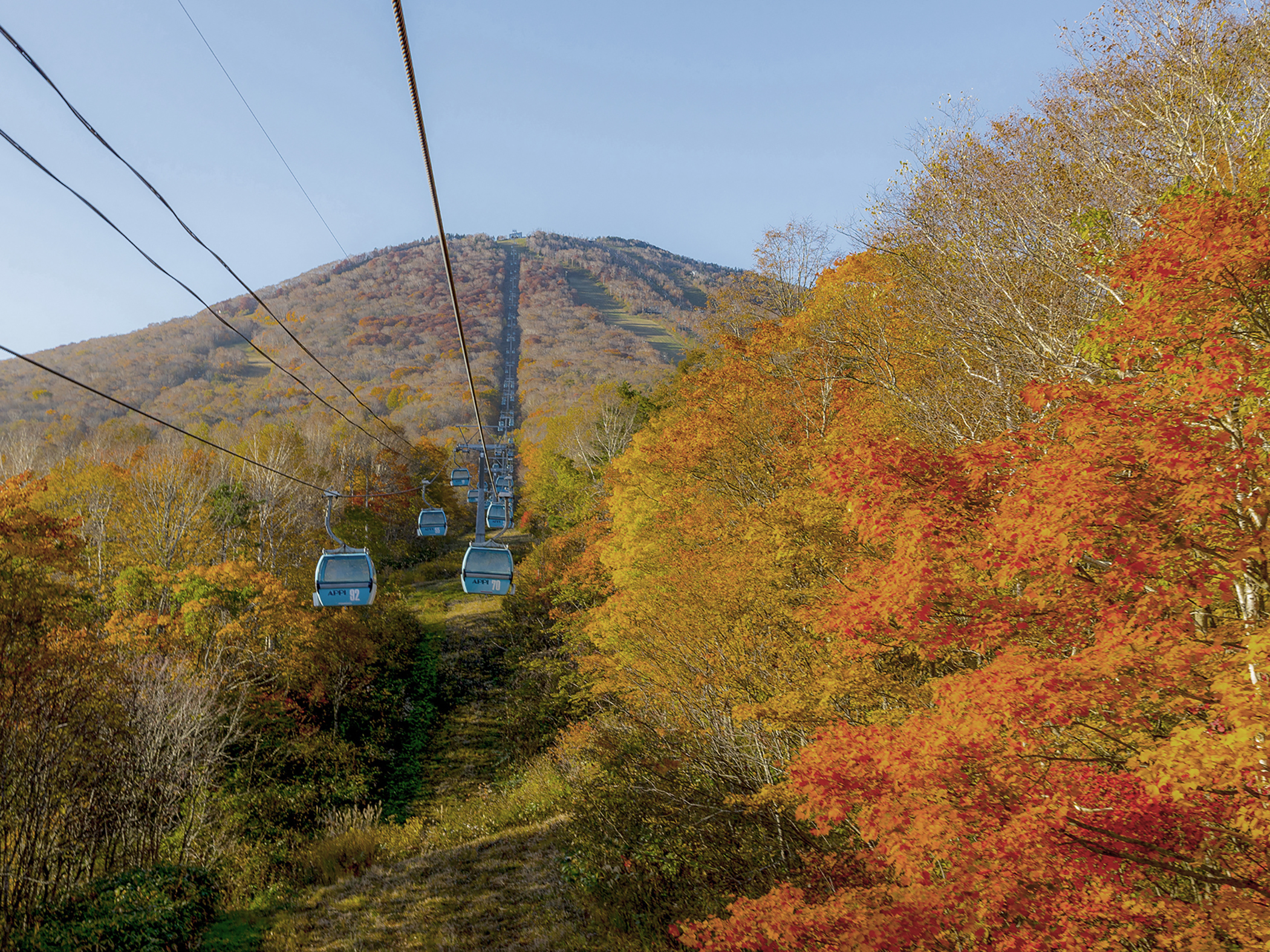 紅葉ゴンドラ