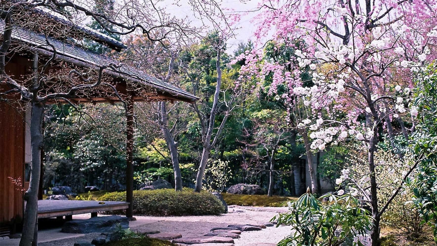 ・【庭園】縁側に腰掛けお花見を満喫できます