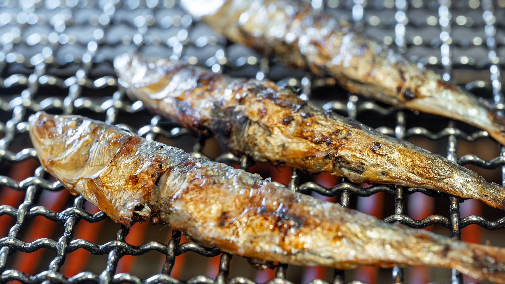 朝食ライブキッチン：焼き魚