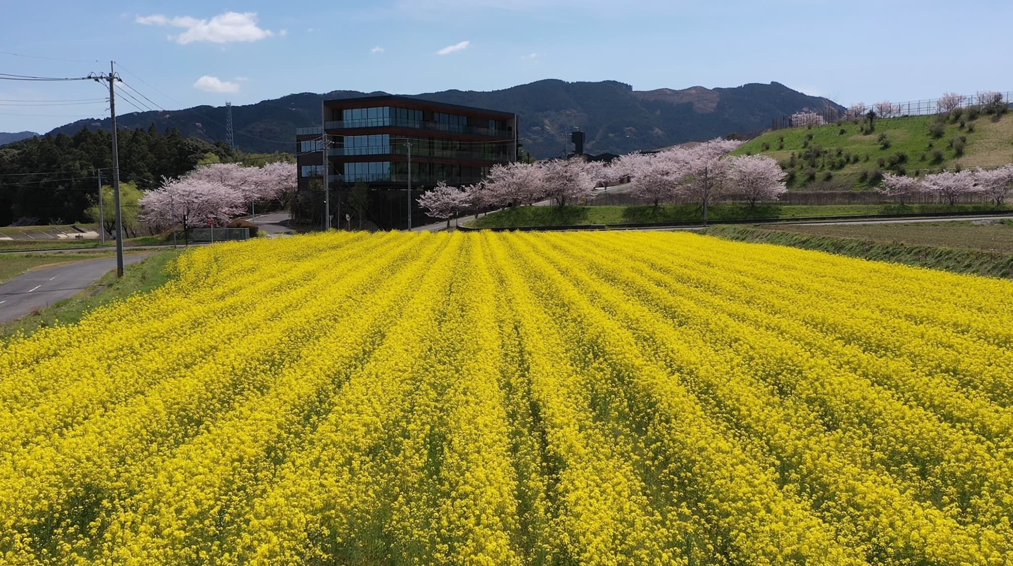 ★平日限定★　春爛漫♪家族でお得に旅行♪　ファミリープラン
