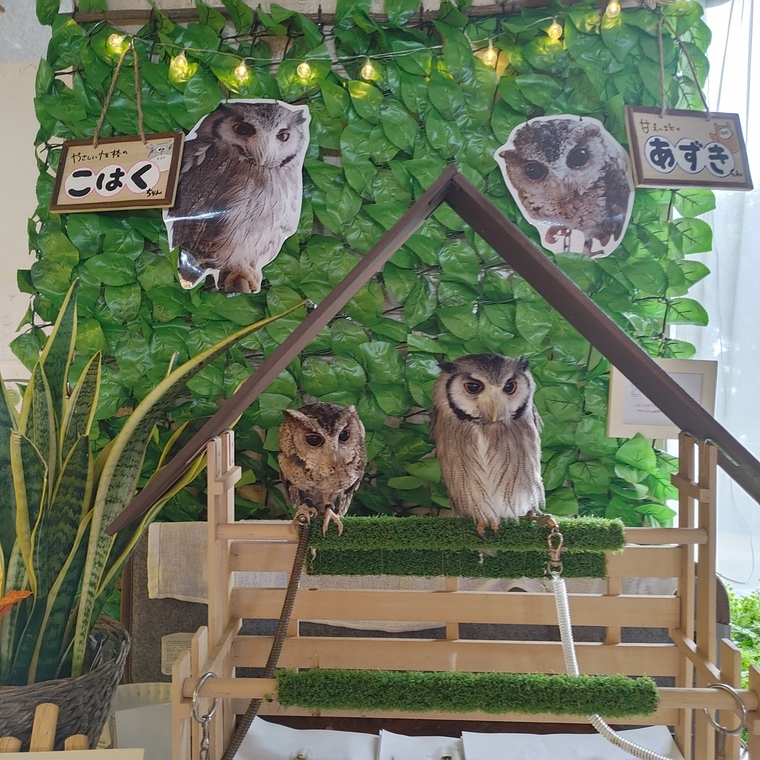 【新春お年玉セールその①】迷ったらコレ☆活き鮑と幡豆和牛の当館一番人気会席＜館内利用券2000円付＞