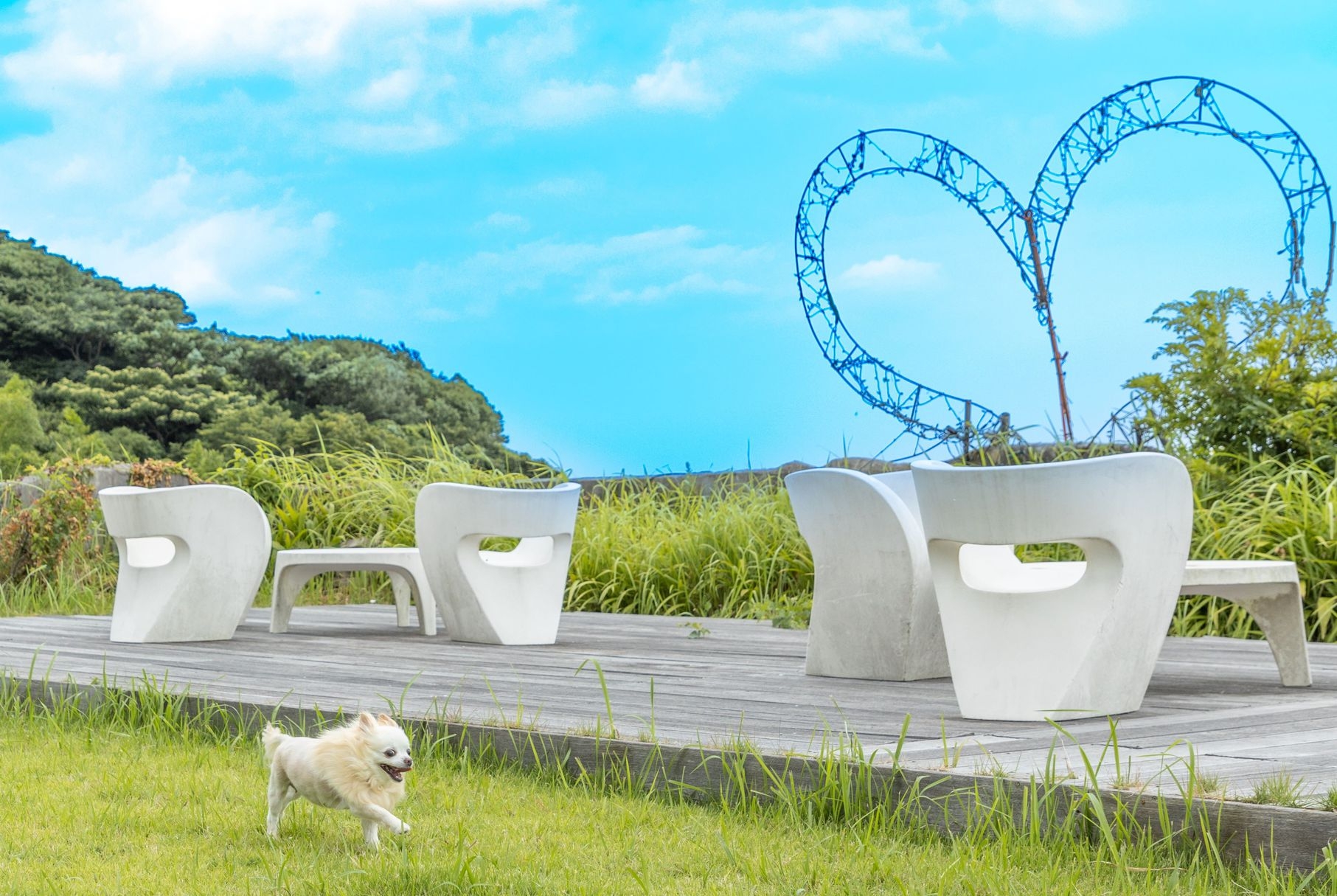 【愛犬と旅行に☆ペット同伴客室】幡豆和牛料理♪1頭当り3300円現地にて、15Kgまでの犬のみ受入可