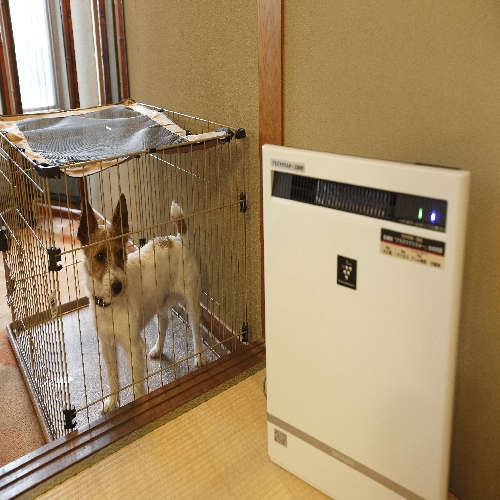 (スタンダード)ペットと一緒にお泊り★専用客室★※禁煙