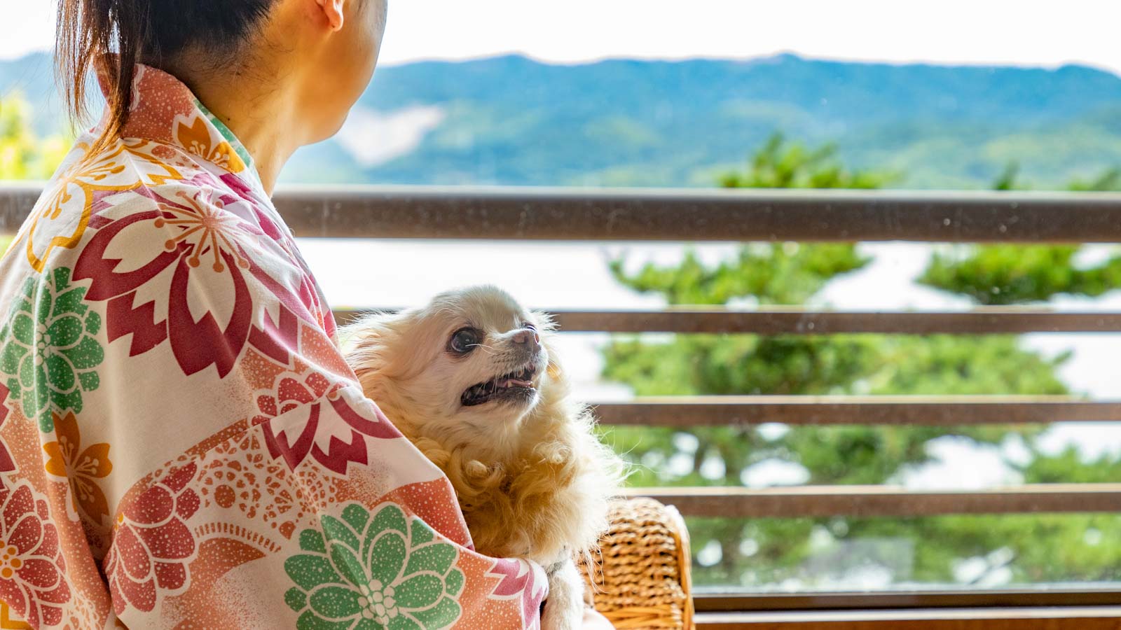 ワンちゃんと一緒にお泊り♪