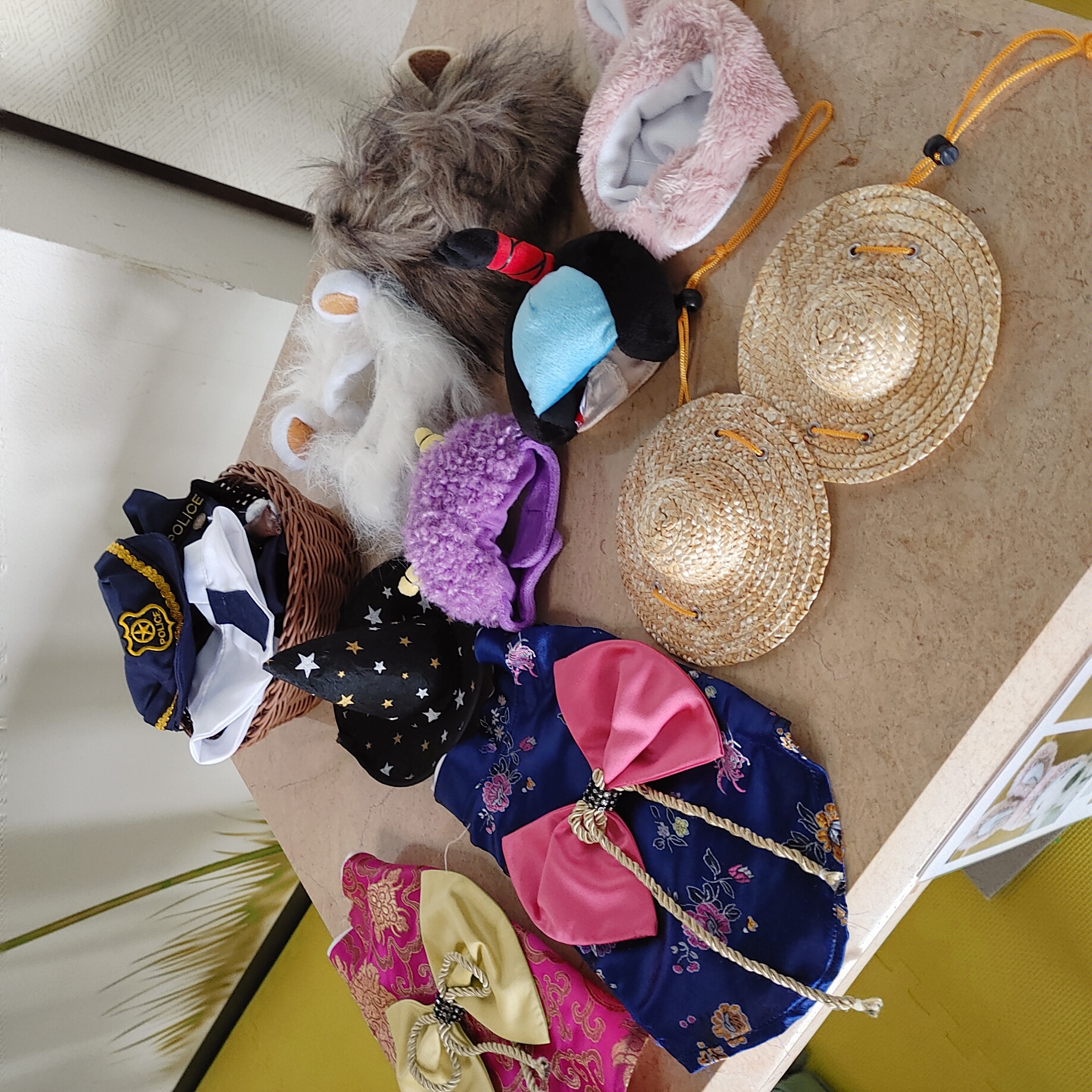 ワンちゃん用コスチューム