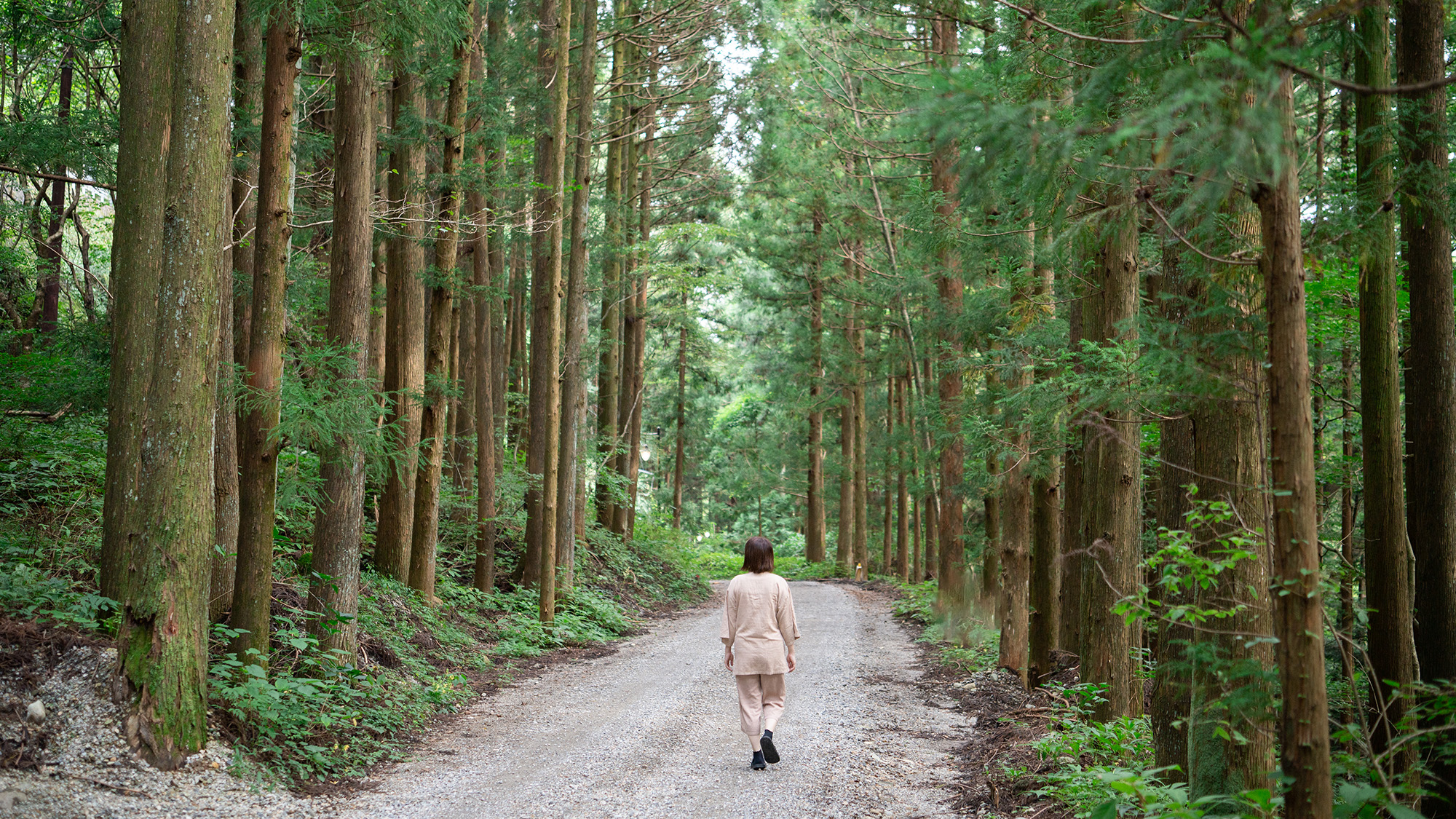 森林浴のコースでは、那珂川沿いを川の流れる音を感じていただきながら歩いたり、川に足をつけてみたりする事もアーシングとなり、日ごろため込んだ電磁波や、不要な感情を一緒に流してくれます。
