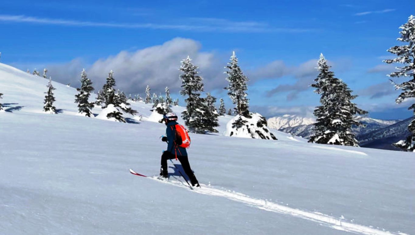 ＜スキーモ体験＞