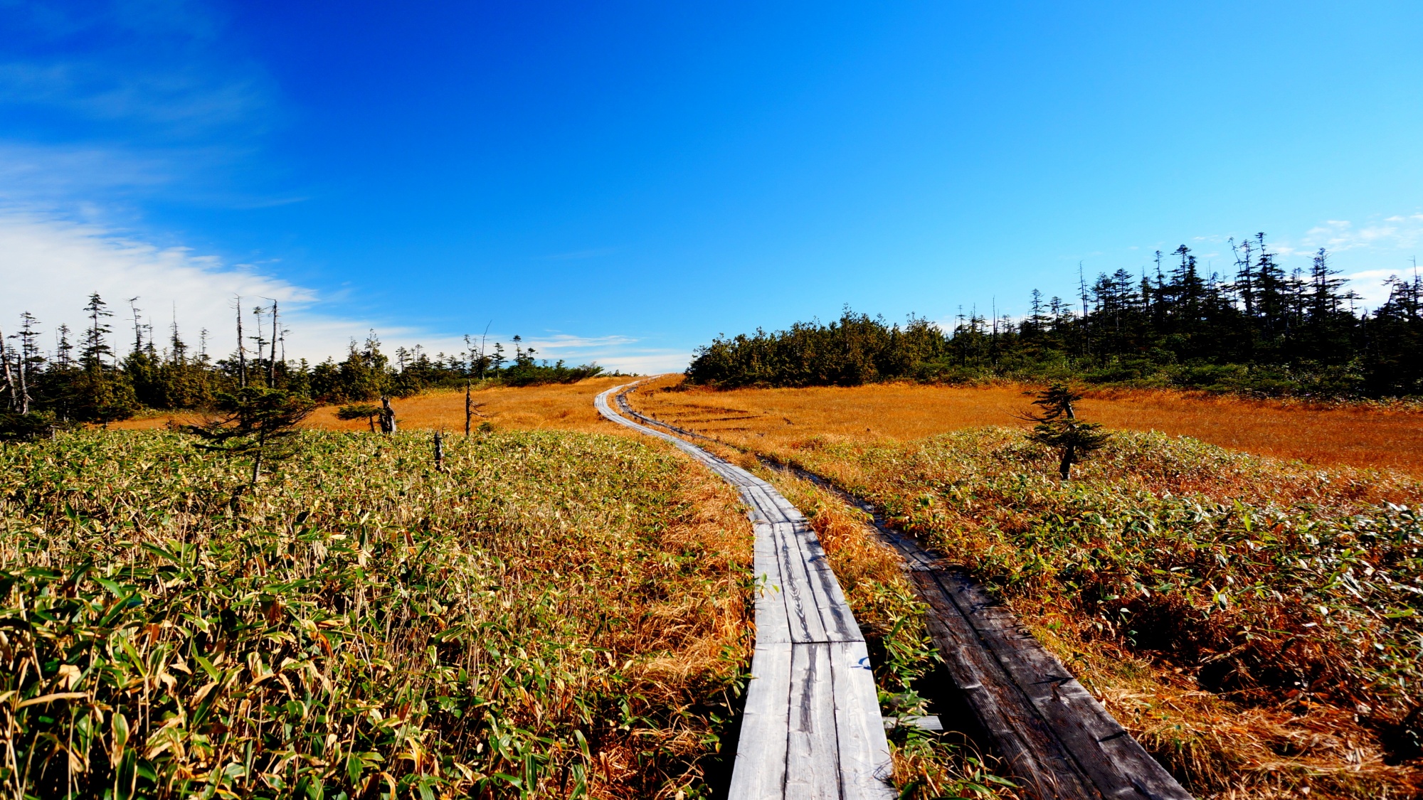 尾瀬の秋（アヤメ平）