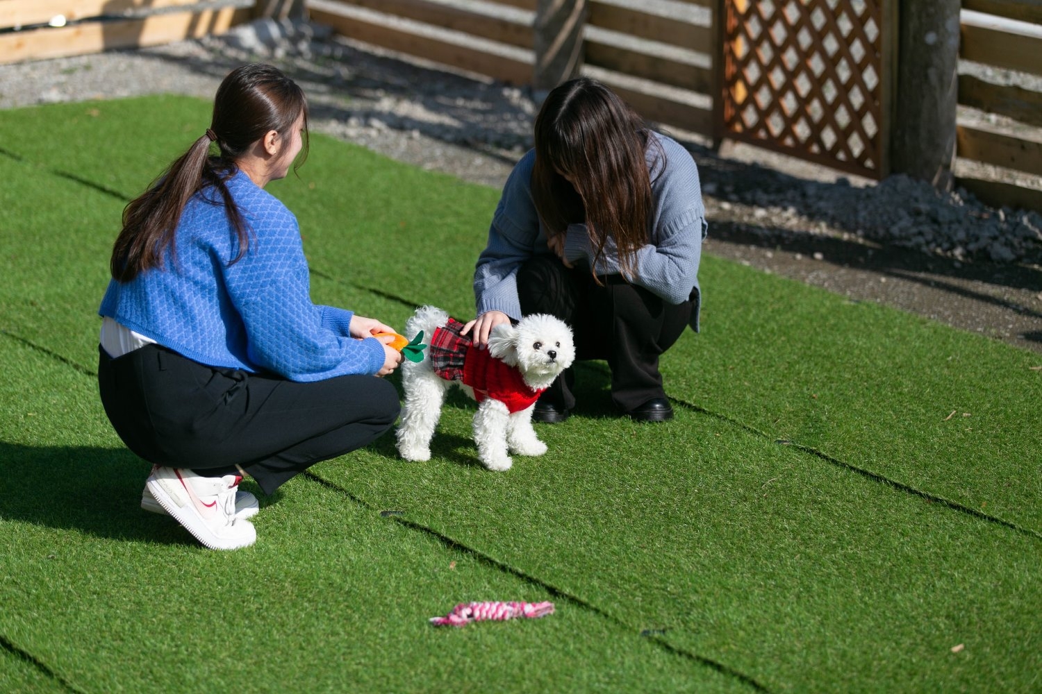 愛犬と一緒　少量BBQ プチプラン　ラウンジ利用なし　~プラス3000円で飲み放題付きに~