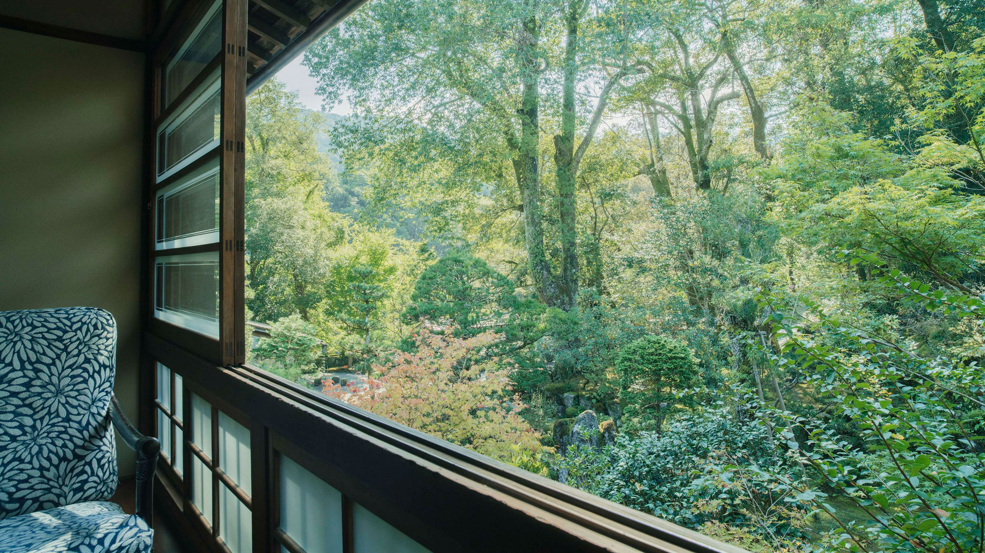 【露草】窓から眺める美しい庭園