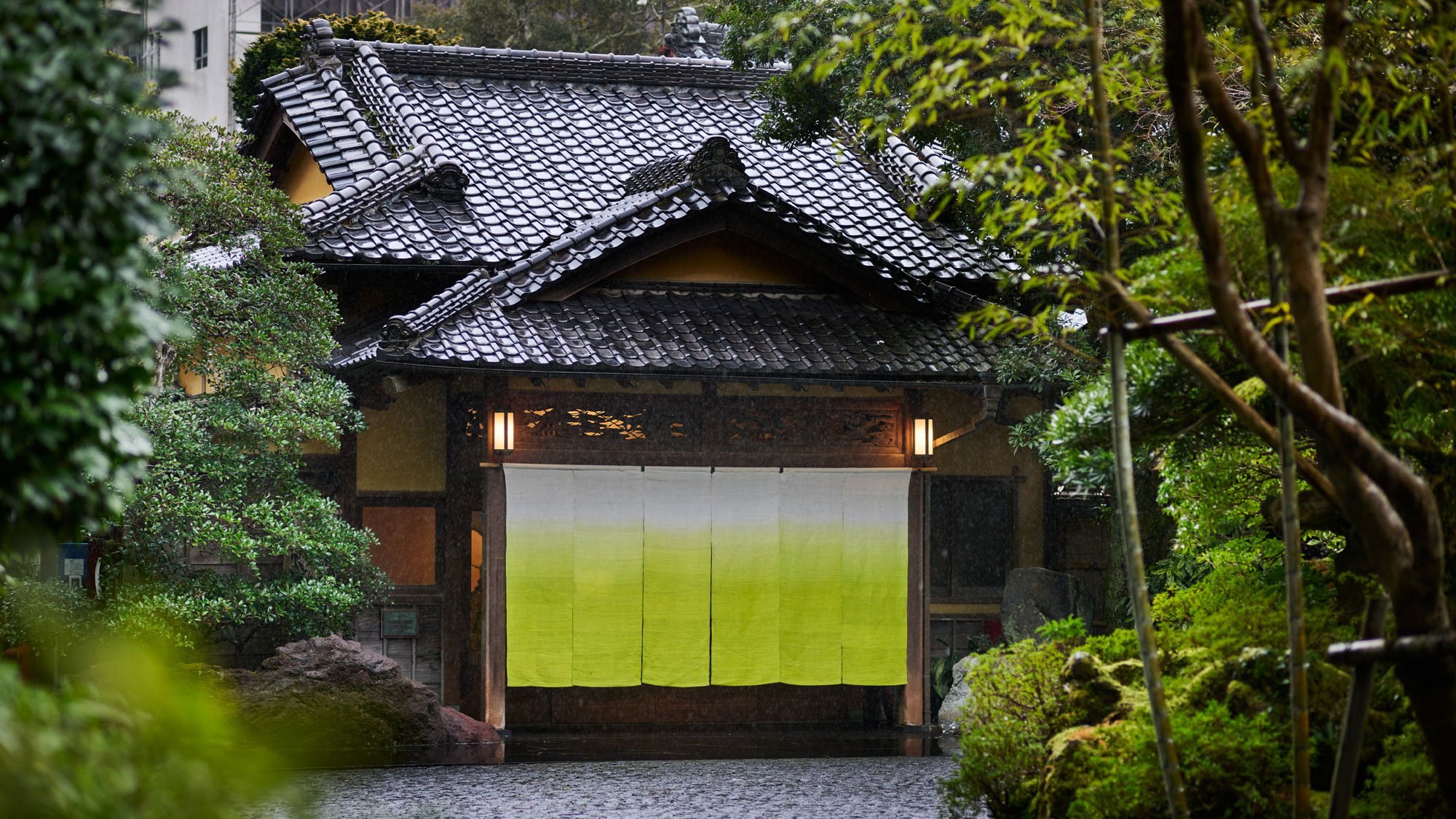 ＜春＞新芽の輝きが 暖簾の爽やかな萌葱色（もえぎいろ）を際立てます