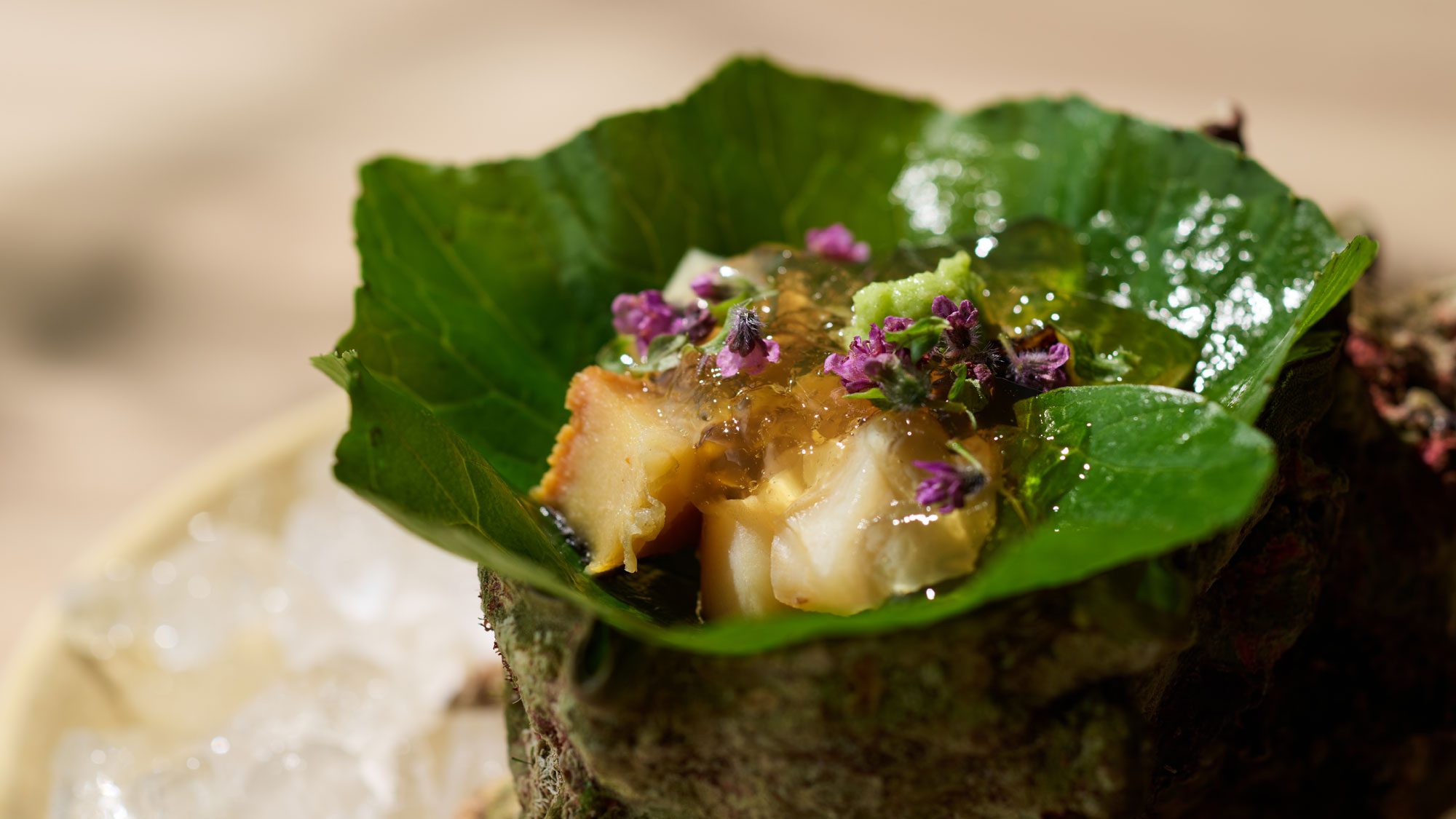 【夏の献立一例】駿河湾産サザエ　浜名湖海苔ジュレ 