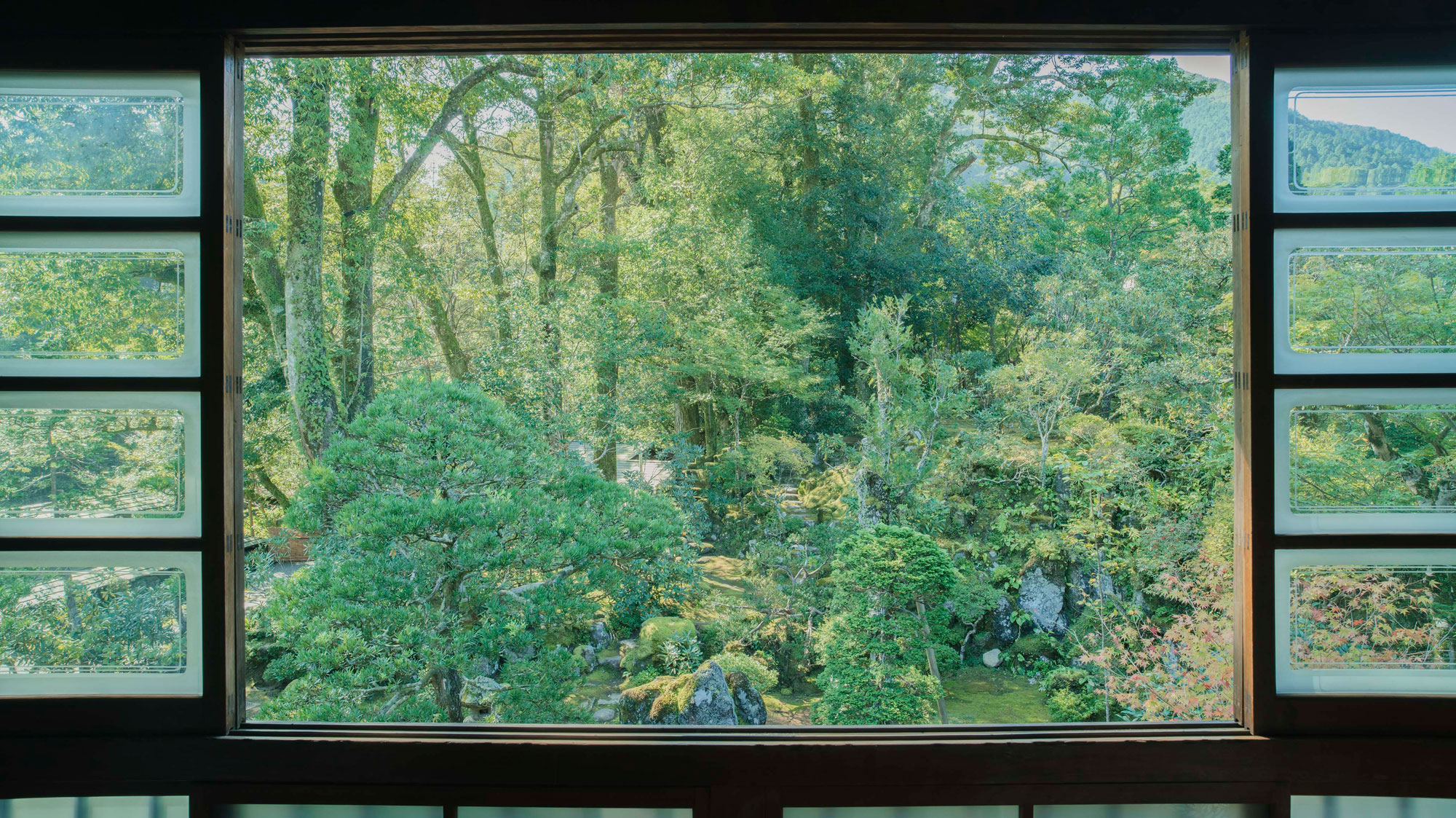 【竜胆】窓の外に広がる庭園