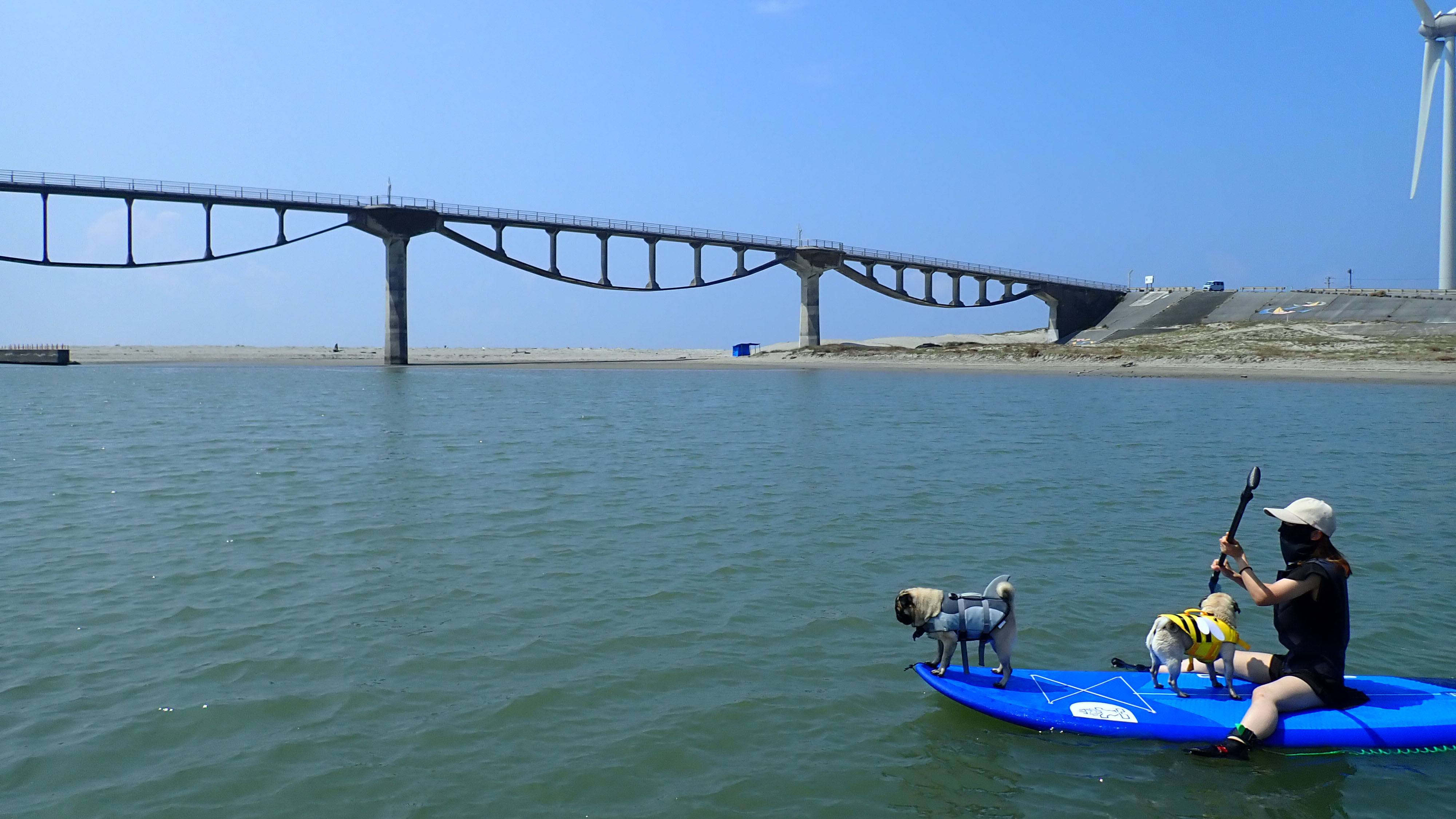 相棒と一緒に、海を冒険！ワンちゃんとのSUP体験は準備中