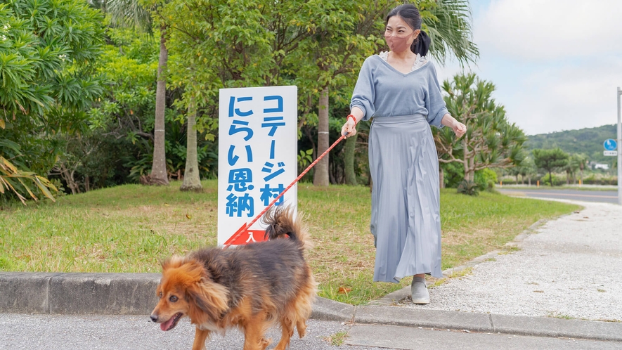 お散歩にも最適☆