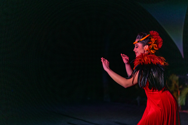 フィースト＆ファイア ルアウショー 一例