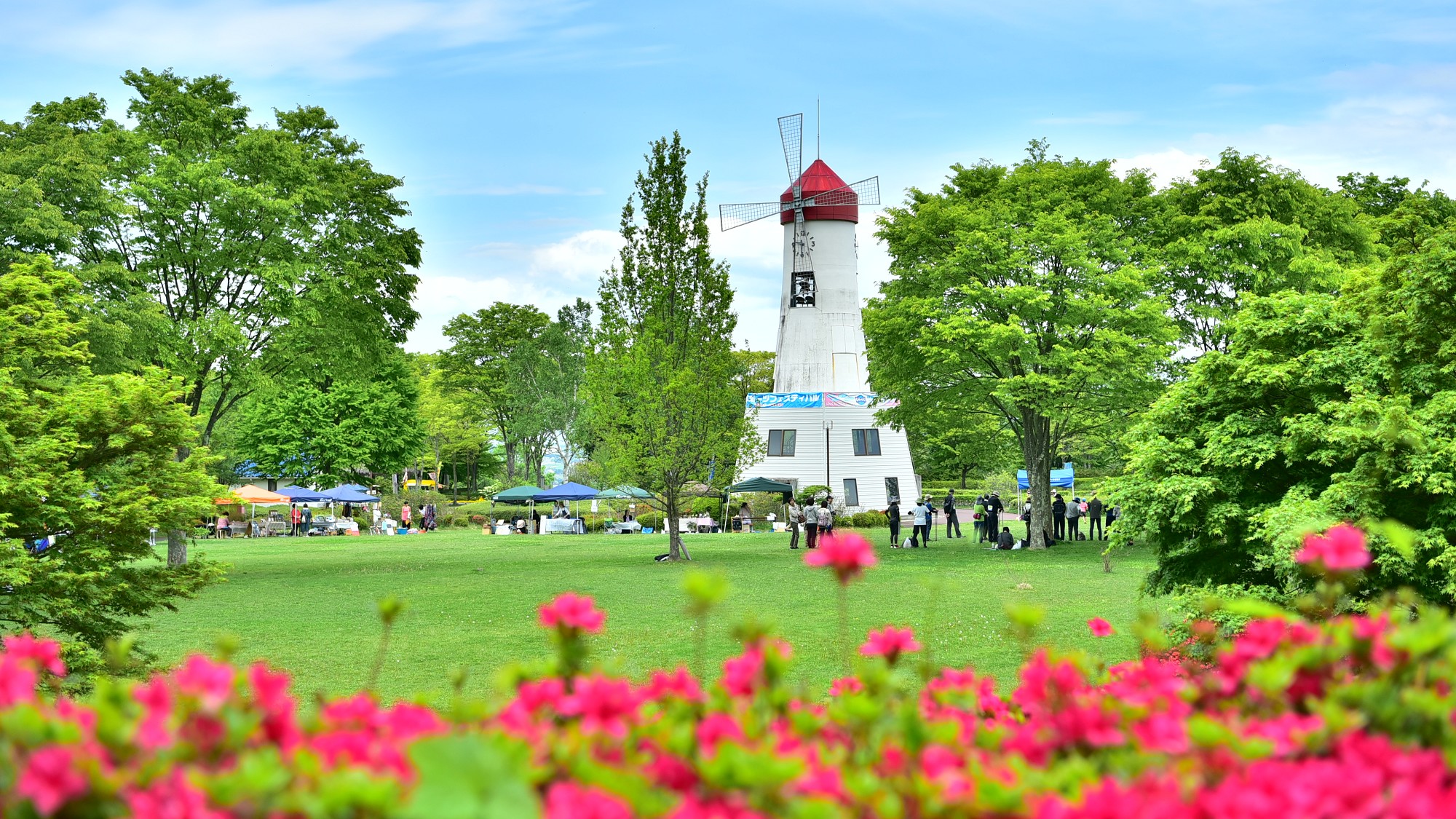 周辺観光：鳩吹公園のつつじ《資料提供：伊那市観光協会》