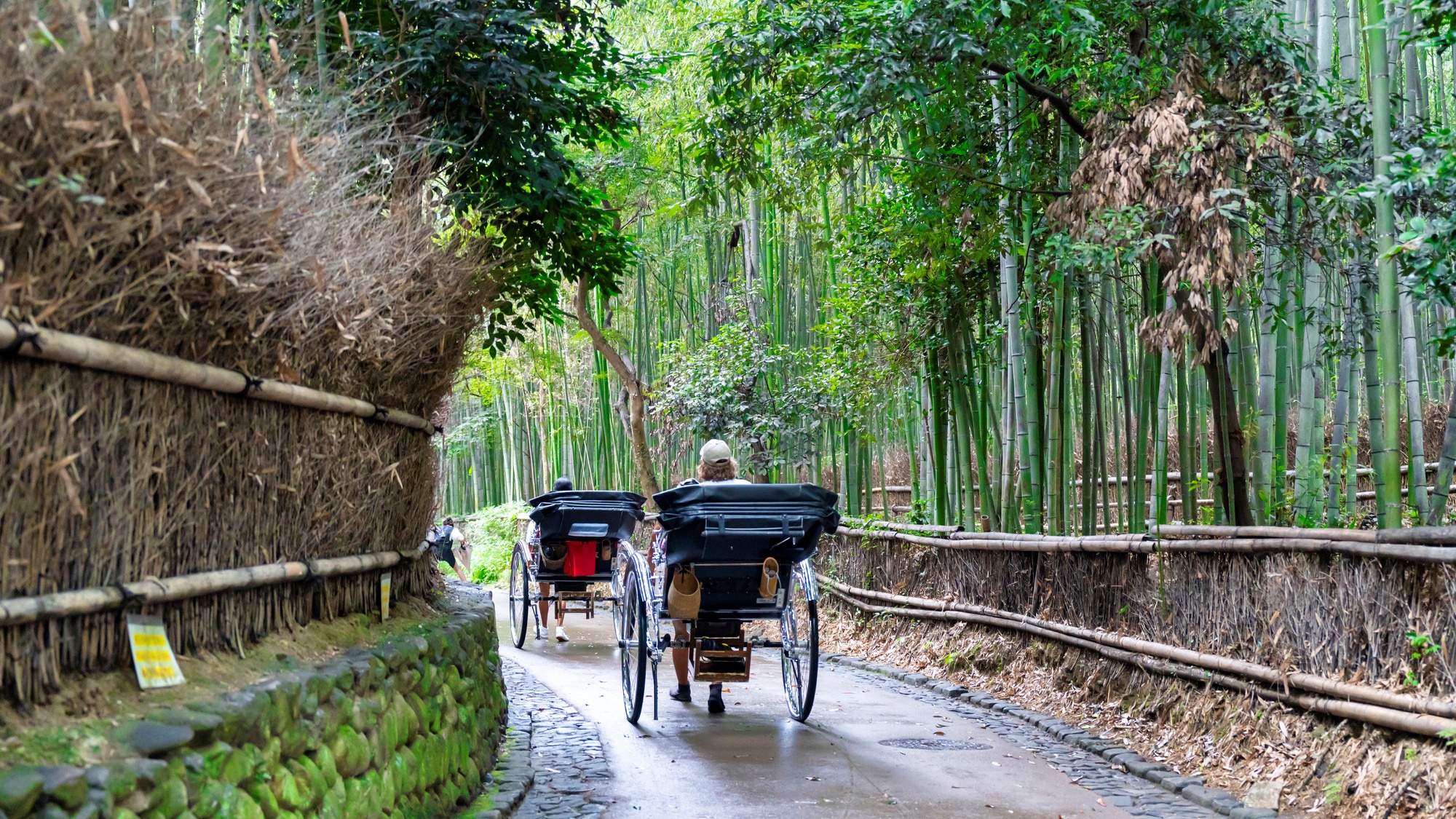 【京都観光イメージ】嵐山　| 車で約30分