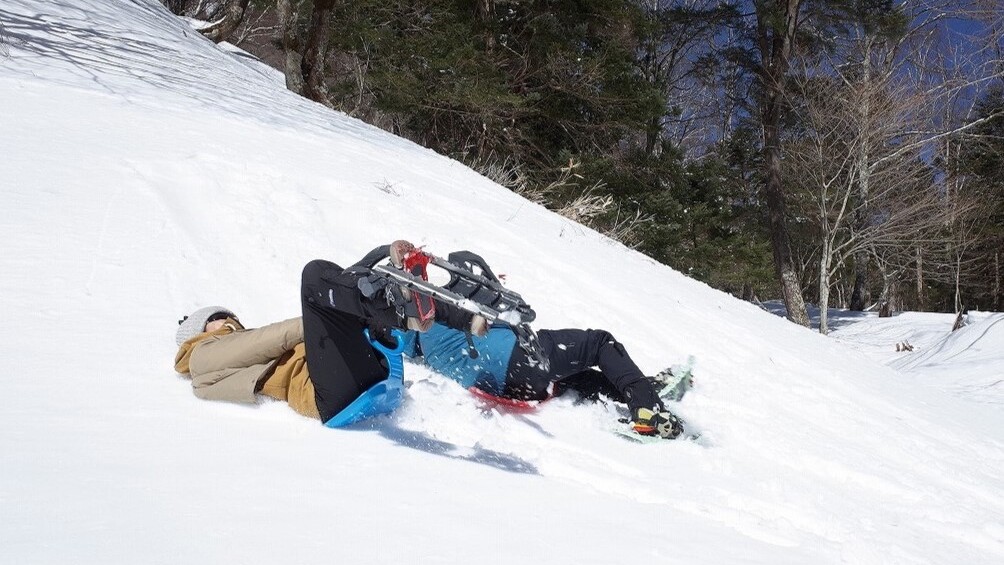 冬の奥日光を歩こう！朝のスノーシュツアー 詳細は公式HPをご覧ください