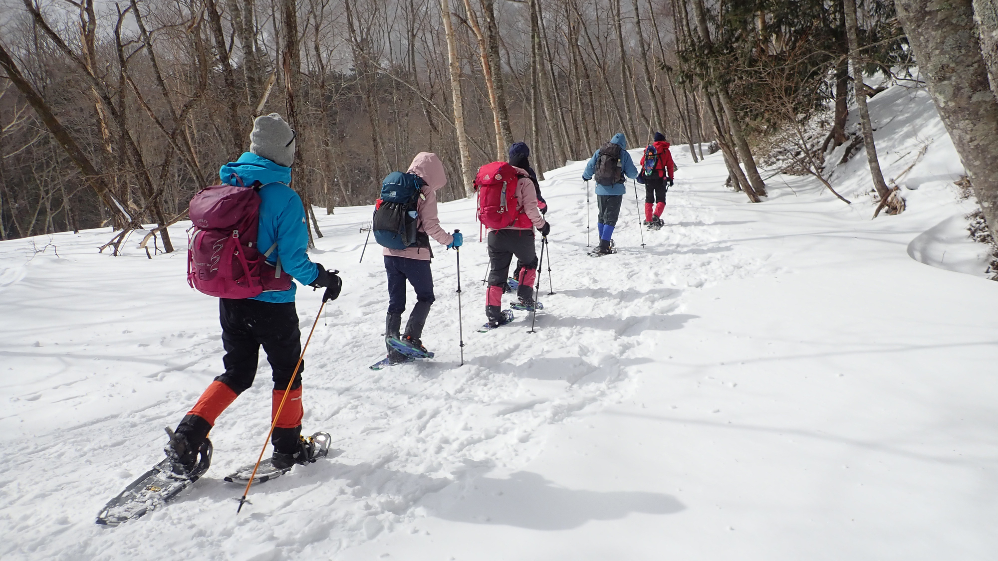 冬の奥日光を歩こう！朝のスノーシュツアー 詳細は公式HPをご覧ください