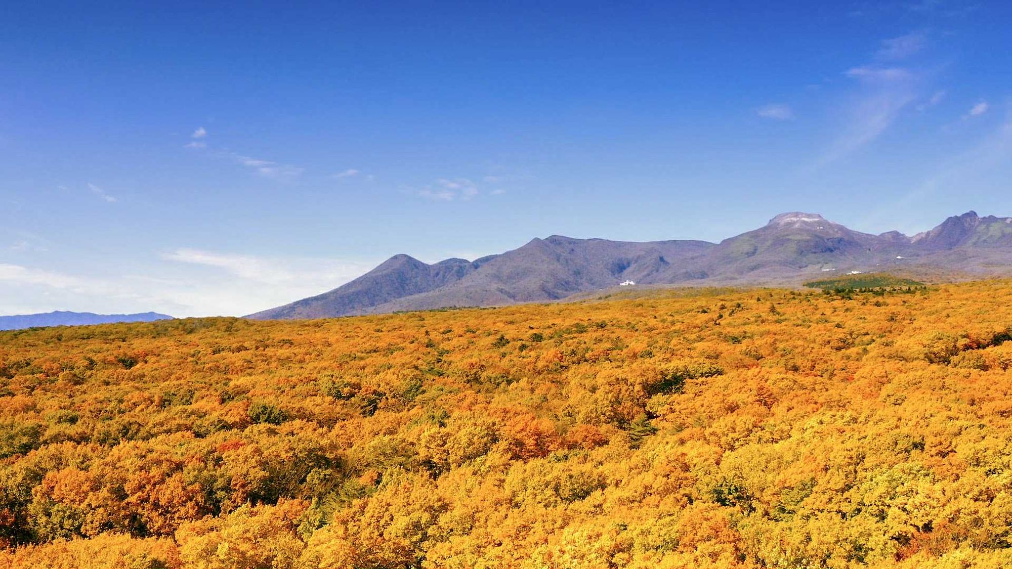 【那須高雄周辺の景色（秋）】