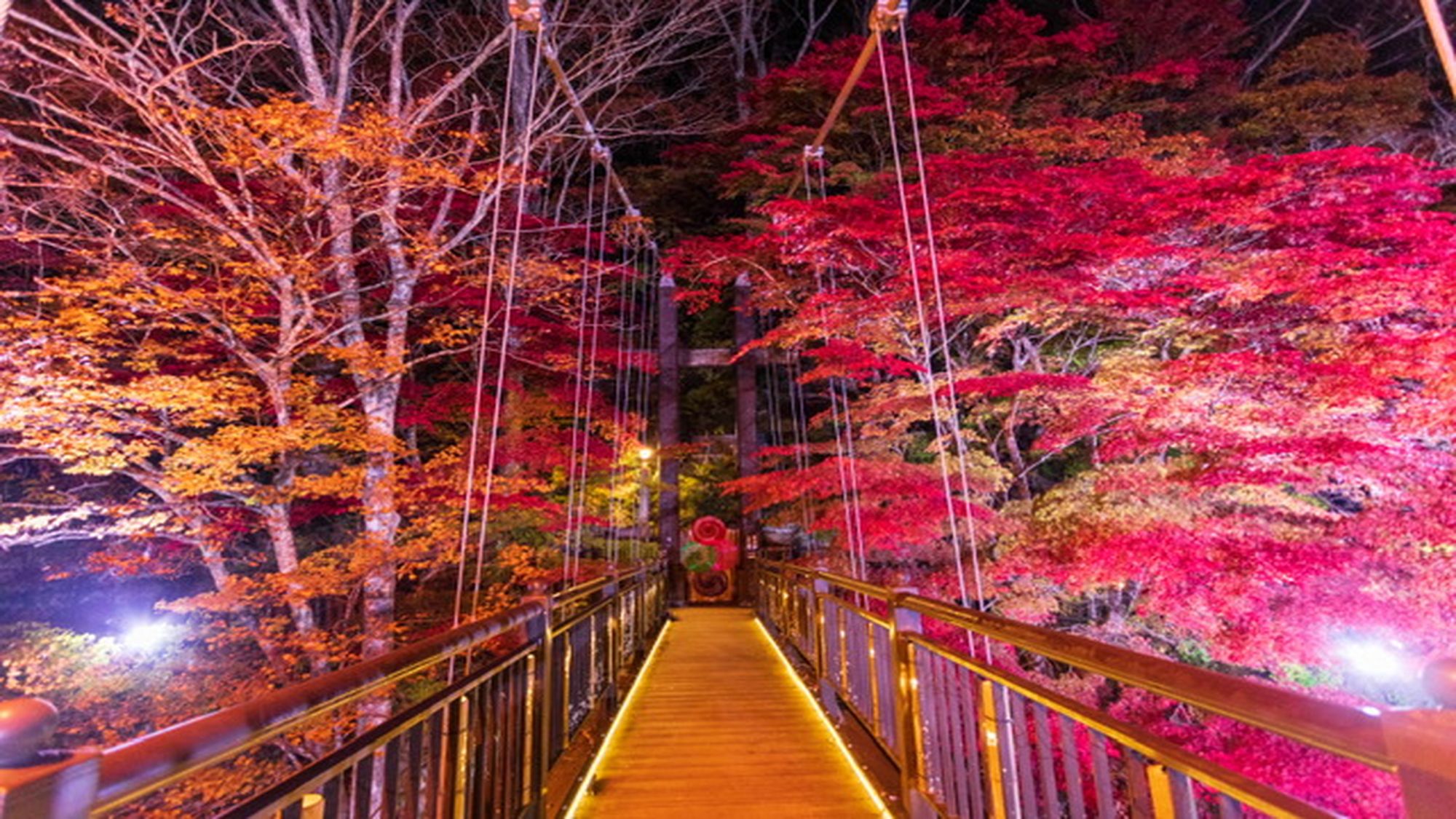 【紅の吊橋の紅葉】