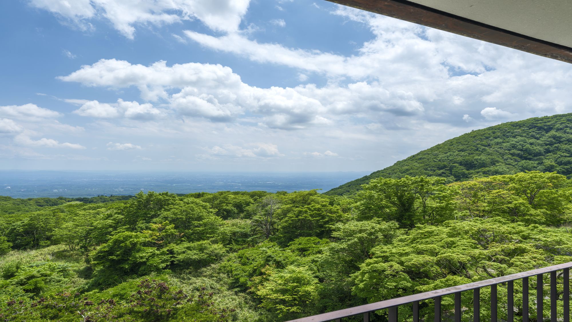 アクセシブルルーム（客室からの眺め）