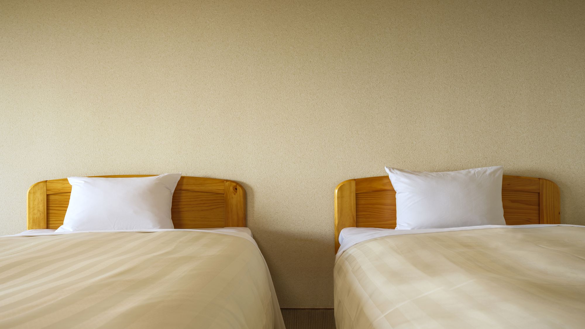 和室10畳 （ベッド2台）