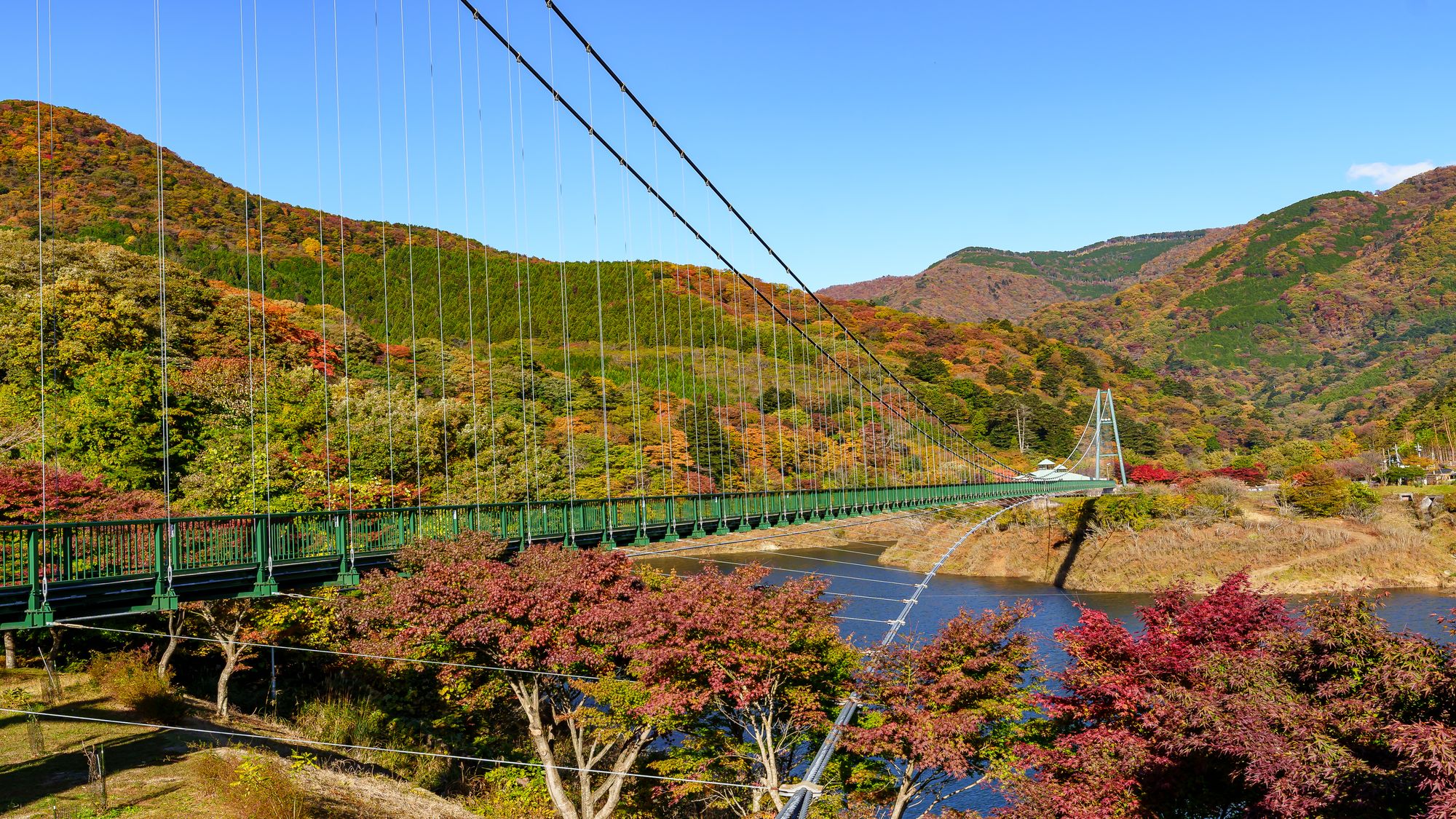 【もみじ谷大吊橋の紅葉】