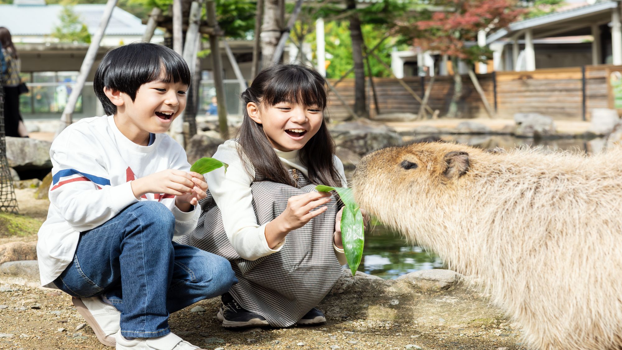 【那須どうぶつ王国】