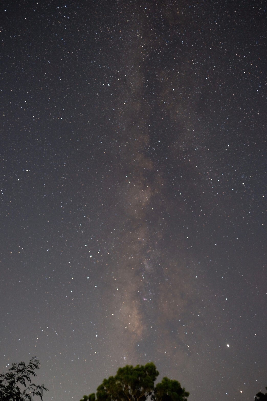 瀬底島からの星空　天の川も流れ星もくっきり。