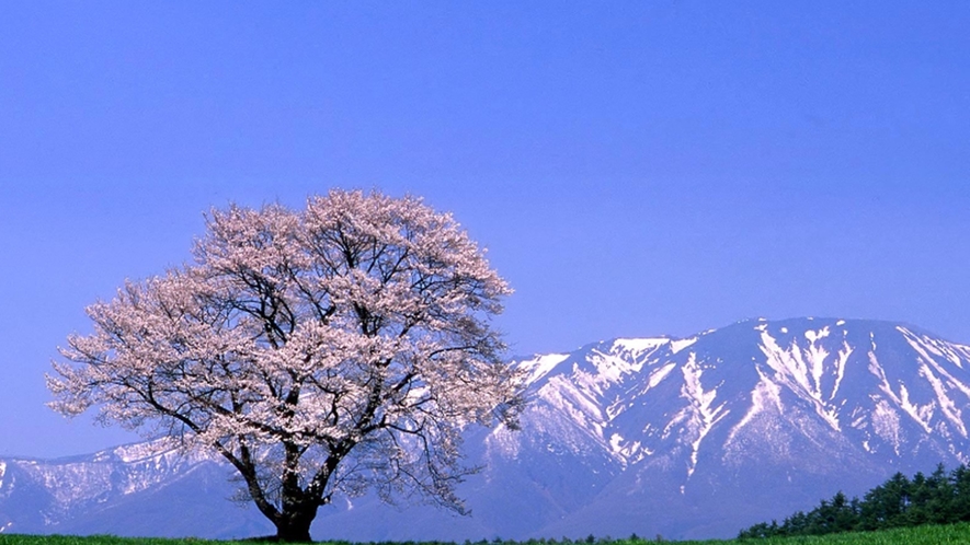 八幡平風景