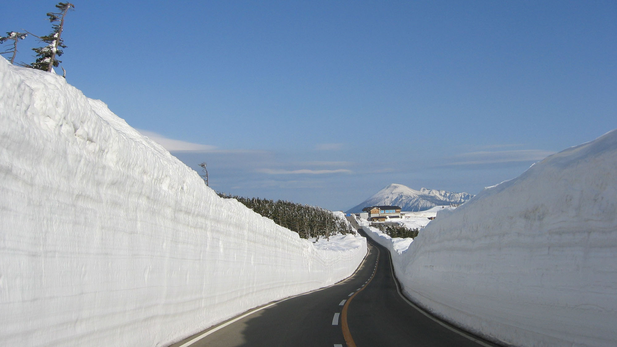 【八幡平アスピーテライン】雪の回廊