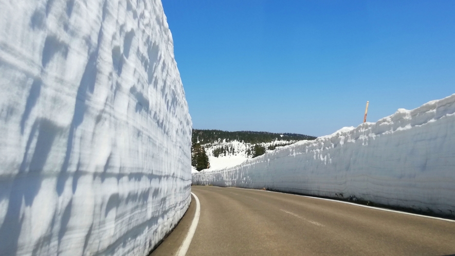 【八幡平アスピーテライン】雪の回廊