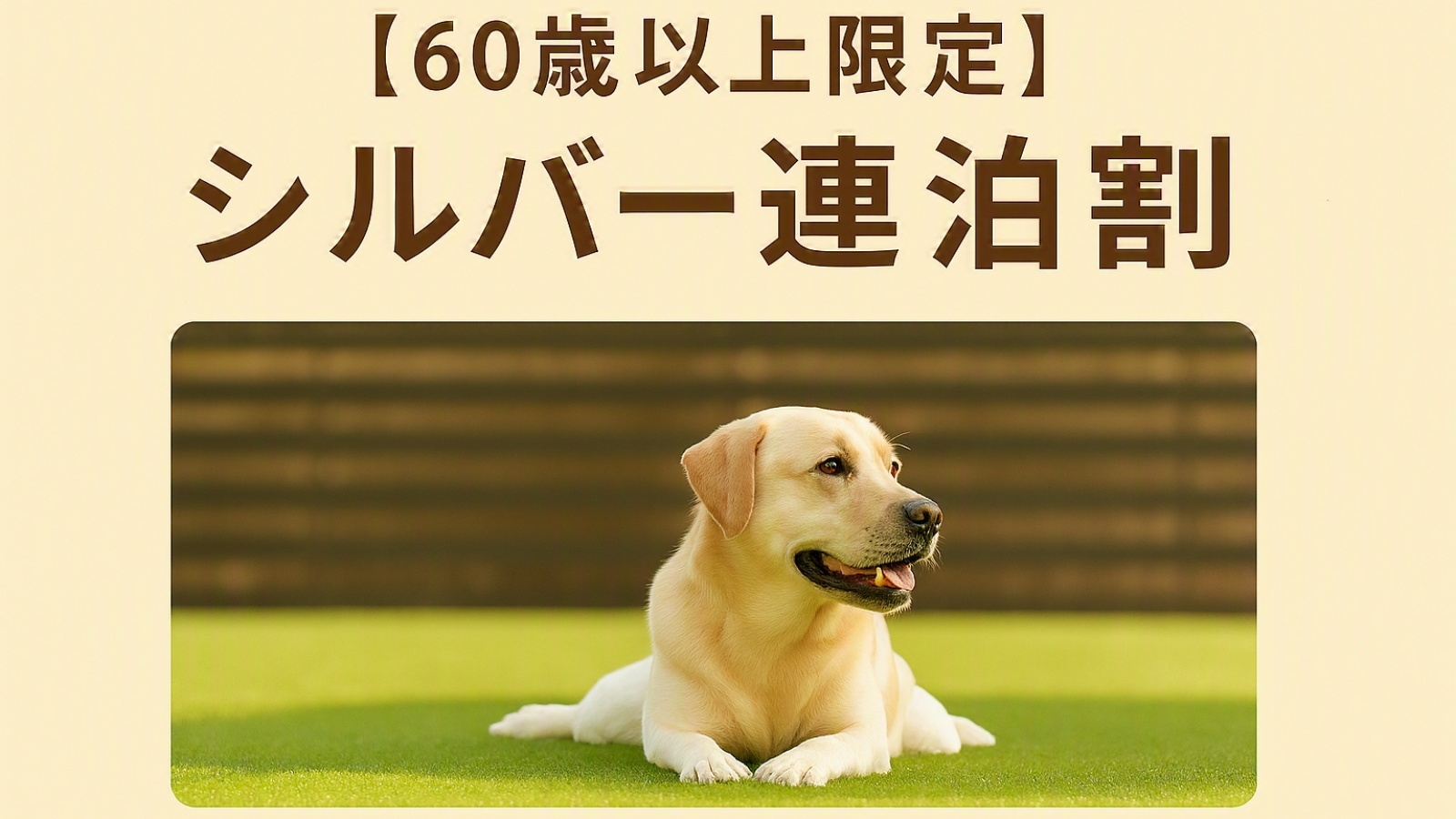 【シニア連泊割】1泊おひとり様500円OFF♪大型犬と贅沢ステイ＆愛犬誕生月特典付【60歳以上限定】