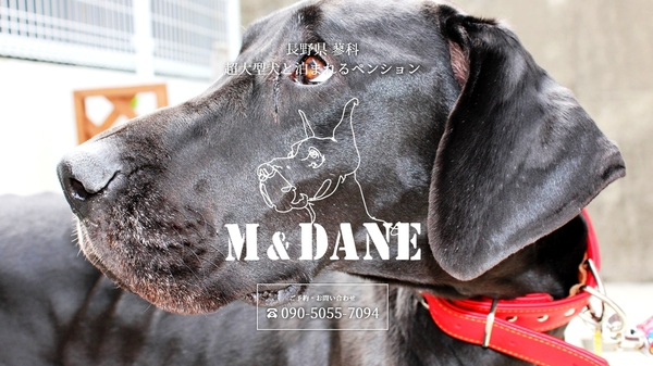 超大型犬と泊まれるペンション m dane 宿泊予約 楽天トラベル 超大型犬と泊まれるペンション m dane 宿泊予約 楽天トラベル