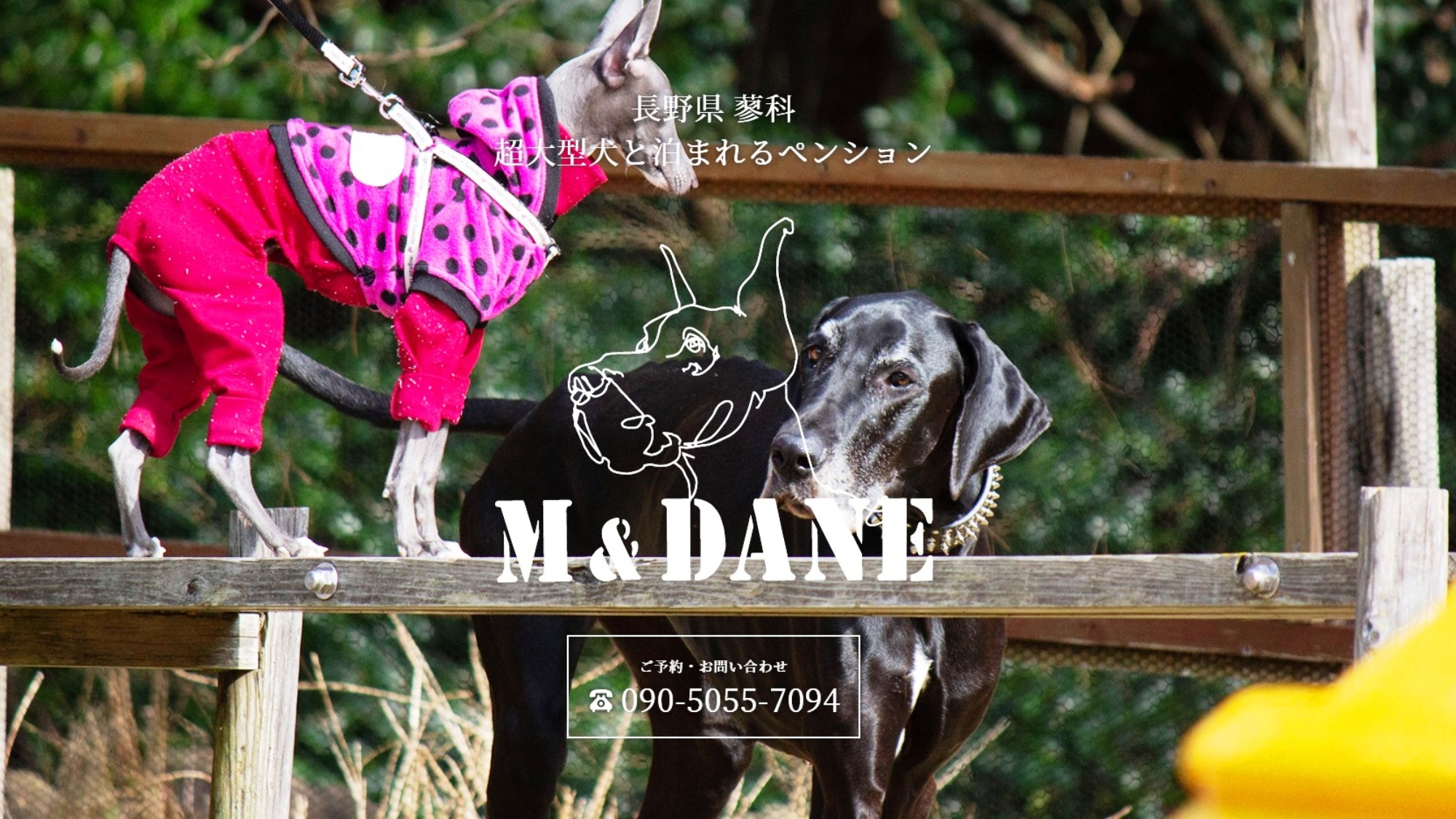 大型犬・超大型犬のためのペンション「M&DANE」愛犬との旅行をサポートします！