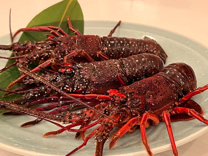 オプションの伊勢海老