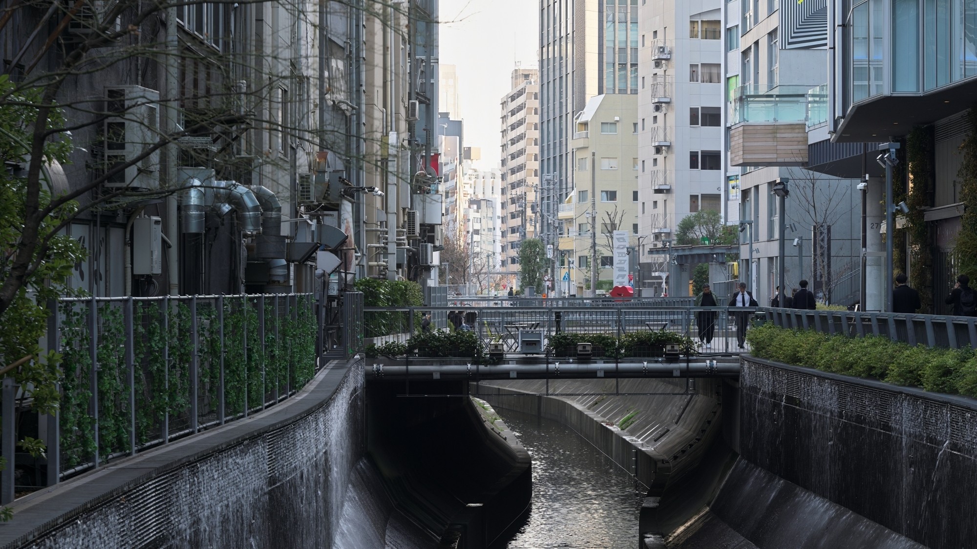 施設周辺/渋谷川